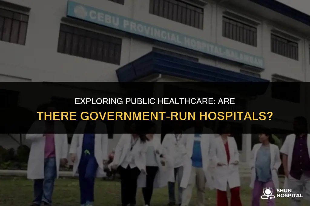 are there any government run hospitals