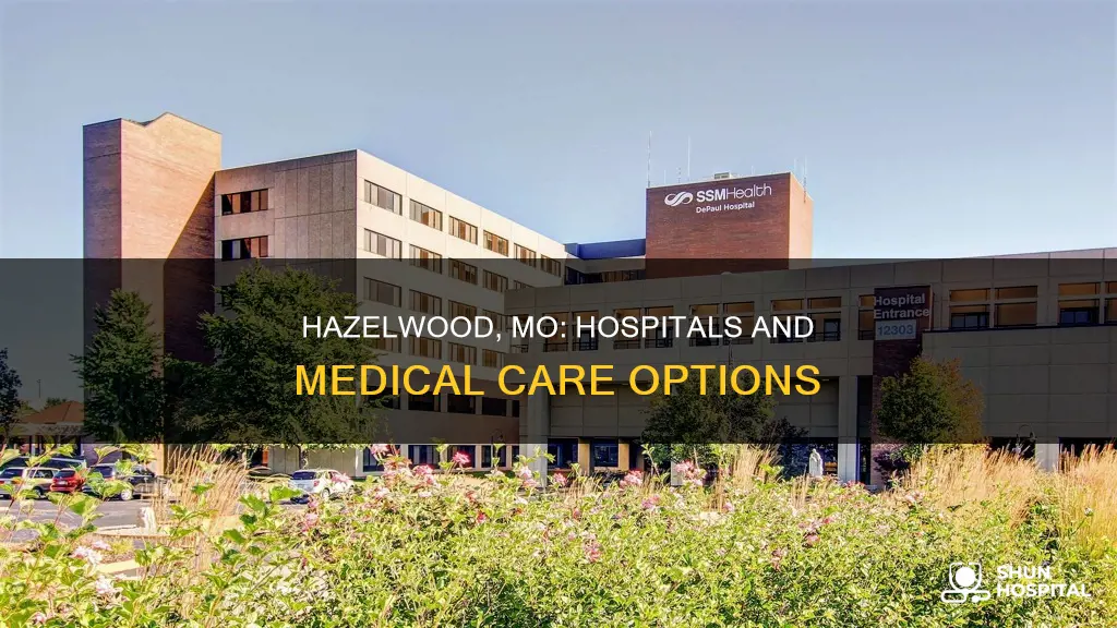 are there any hospitals in hazelwood mo