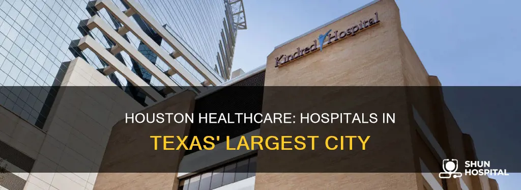 are there any hospitals in houston tx