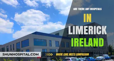 Limerick, Ireland: Hospitals and Healthcare