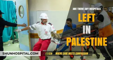 Hospitals in Palestine: A Critical Situation