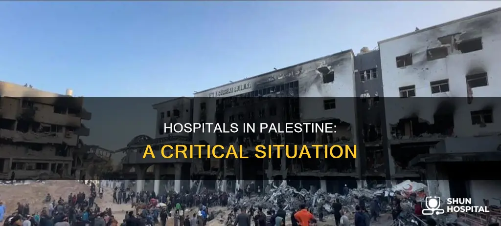 are there any hospitals left in palestine