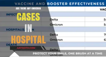 Omicron Hospitalizations: Tracking the Impact