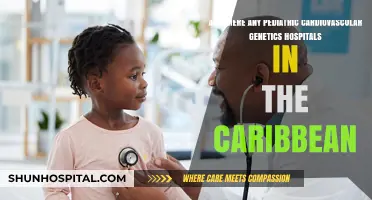 Pediatric Cardiovascular Genetics Care: Are There Specialized Hospitals in the Caribbean?