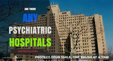 Exploring the Existence and Role of Psychiatric Hospitals Today