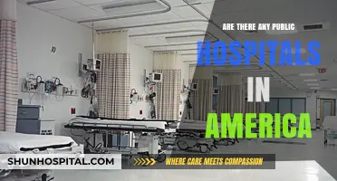 Public Hospitals in America: Do They Exist?