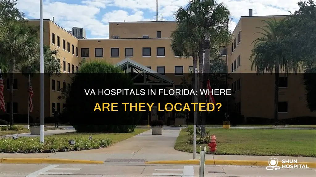 are there any va hospitals in florida