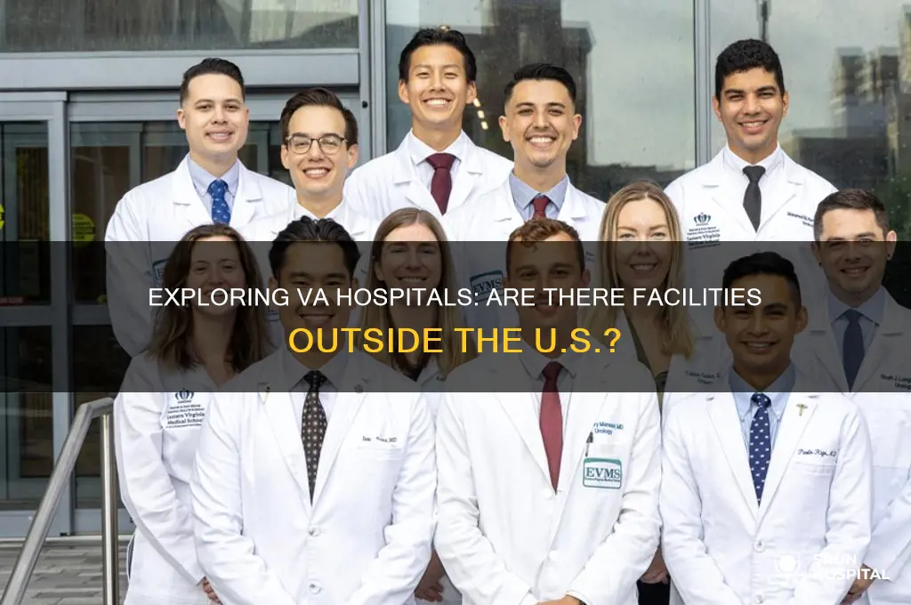 are there any va hospitals outside the united states