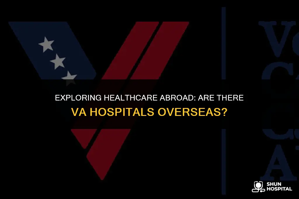 are there any va hospitals overseas