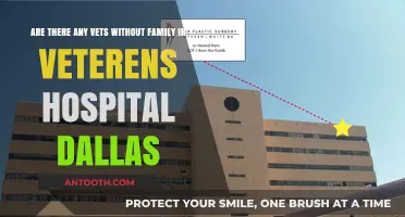 Veterans Without Family: Support Systems at Dallas VA Hospital