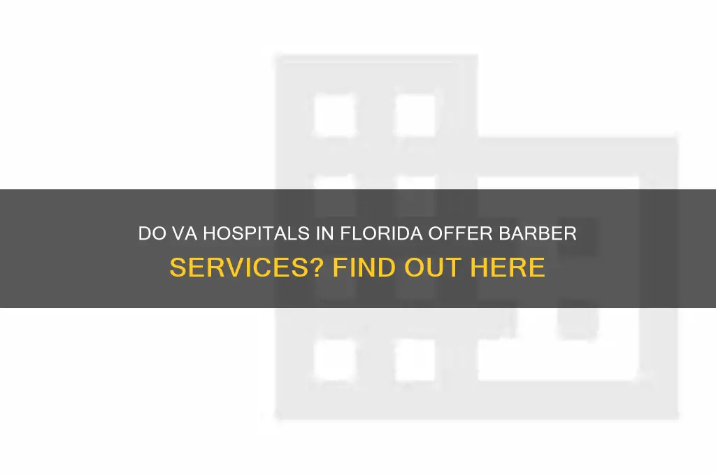 are there barbers at the va hospital in florida