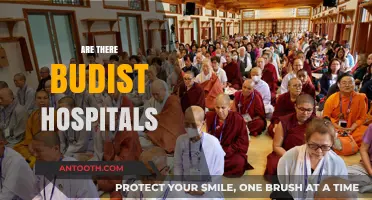Exploring Buddhist Healthcare: Do Buddhist Hospitals Exist Globally?