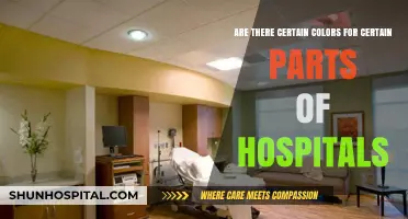 Hospital Color Psychology: How Different Hues Impact Patient Care Areas