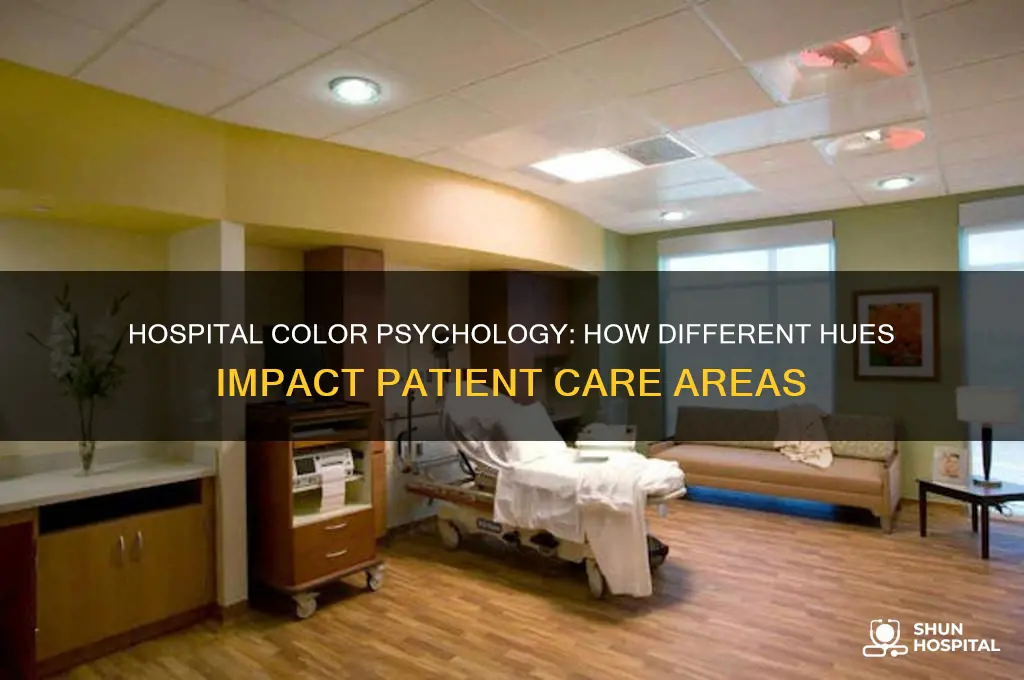 are there certain colors for certain parts of hospitals