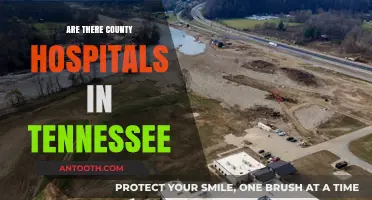 Exploring Tennessee's Healthcare: Are County Hospitals a Reality?