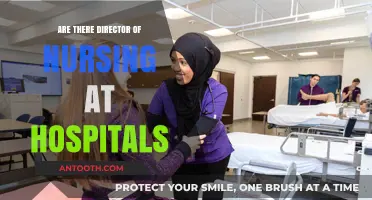 Leadership in Nursing: Directors at Hospitals