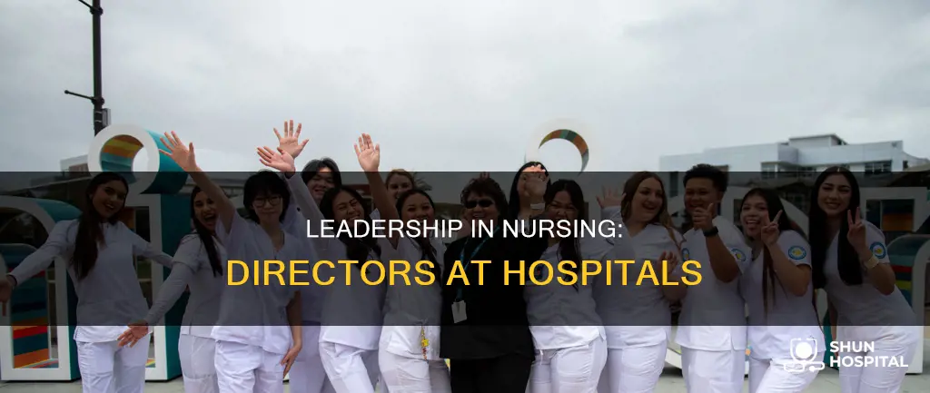 are there director of nursing at hospitals
