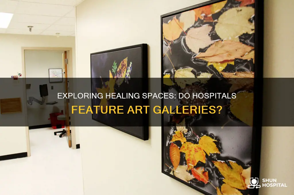 are there galleries in hospitals