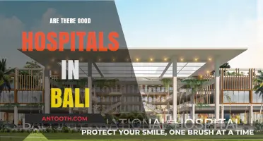 Exploring Healthcare Options: Are There Good Hospitals in Bali?
