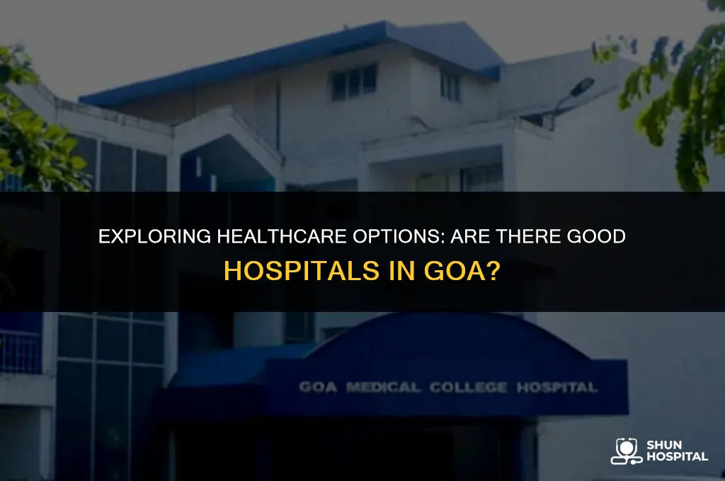 are there good hospitals in goa