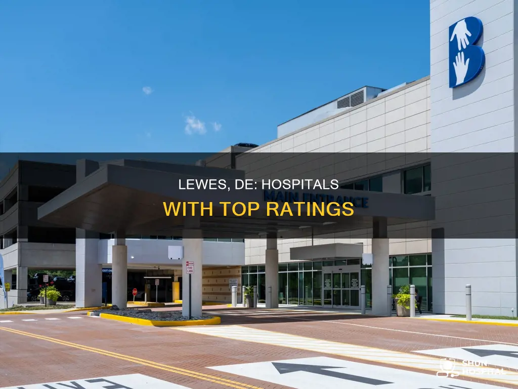 are there good hospitals in lewes de