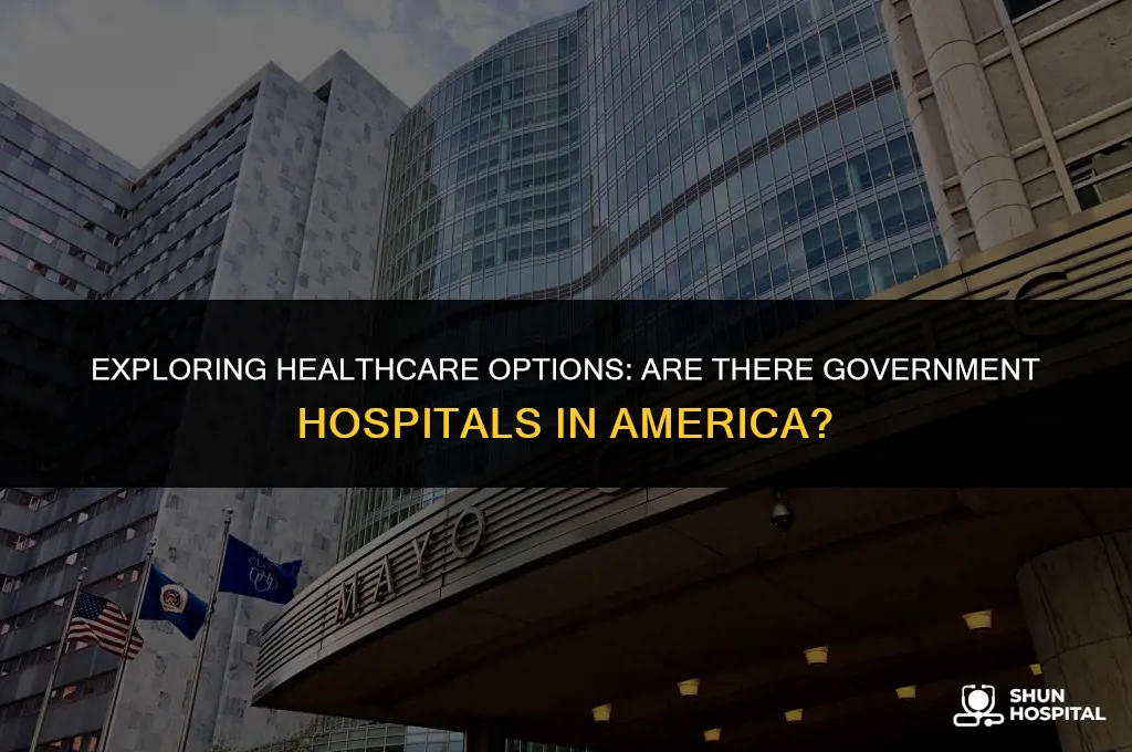 are there government hospitals in america