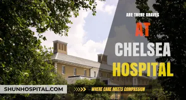 Exploring the Historic Grounds: Graves at Chelsea Hospital?