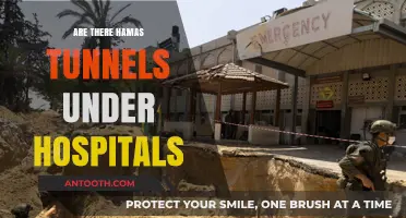 Unveiling the Truth: Hamas Tunnels and Hospitals in Gaza