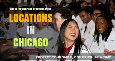 Chicago's Healthcare Access: Are Hospitals Near Non-White Communities?