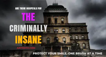 The Criminally Insane: Hospitals or Prisons?