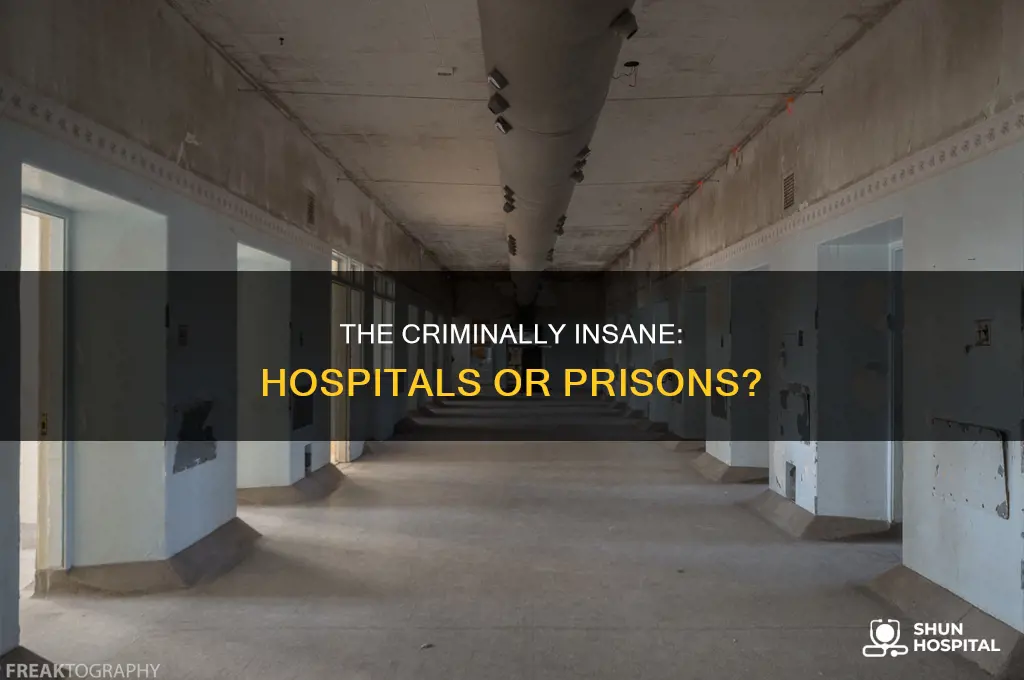 are there hospitals for the criminally insane