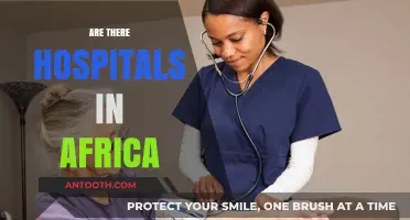 Exploring Africa's Healthcare: Do Hospitals Exist Across the Continent?