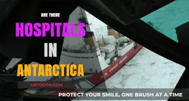 Exploring Antarctica's Healthcare: Are There Hospitals on the Ice?