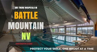 Battle Mountain, NV: Hospitals and Healthcare