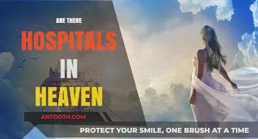 Do Hospitals Exist in Heaven? Exploring the Afterlife's Healthcare