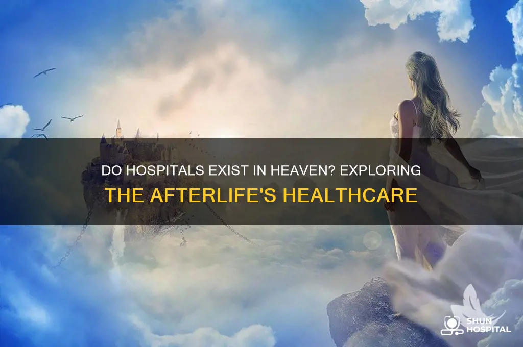 are there hospitals in heaven