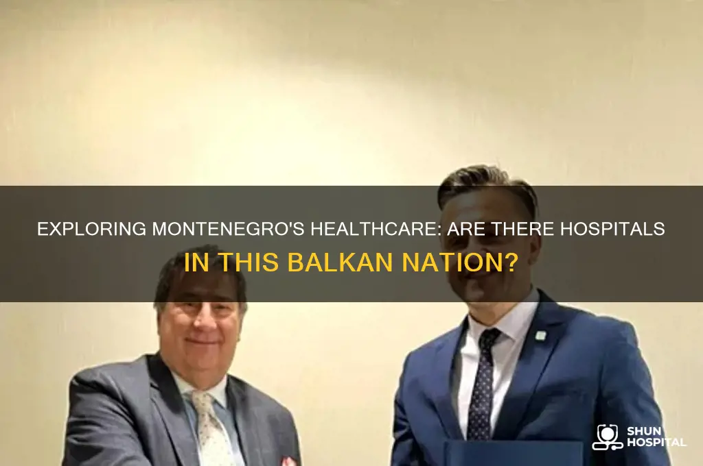are there hospitals in montenegro