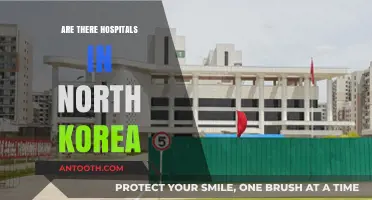 Exploring Healthcare: The Reality of Hospitals in North Korea