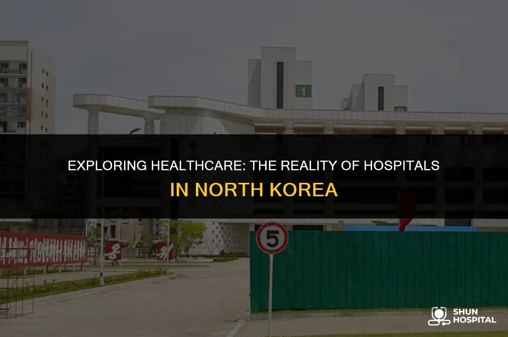 are there hospitals in north korea