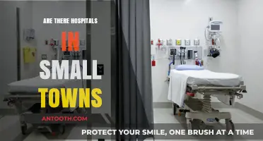 Exploring Healthcare Access: Are Small Towns Equipped with Hospitals?
