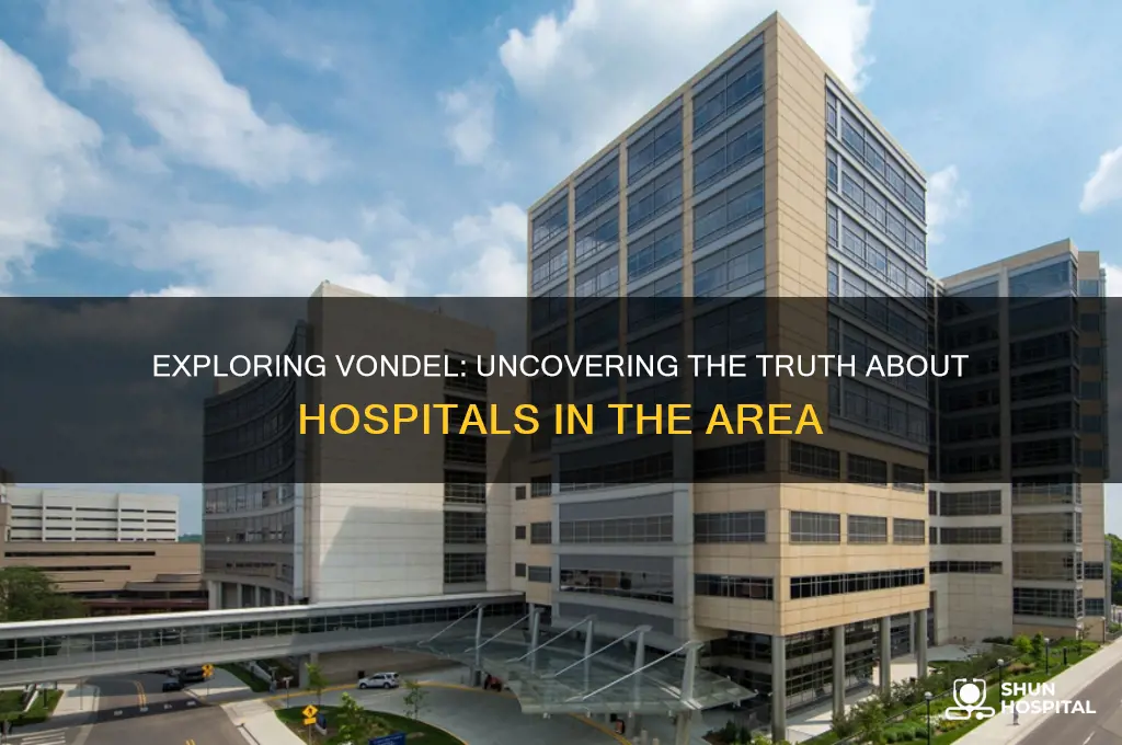 are there hospitals in vondel