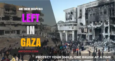 Amidst the Ruins: The Dire State of Healthcare in Gaza