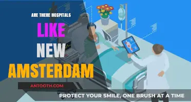 Exploring Modern-Day New Amsterdams: A Journey Through Healthcare Utopias