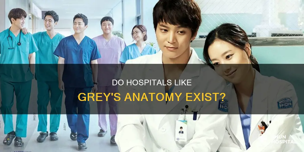 are there hospitals like on greys anatomy