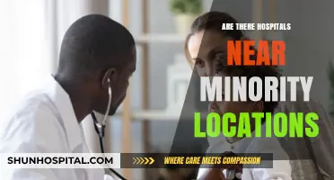 Healthcare Access: Exploring Hospital Proximity to Minority Communities