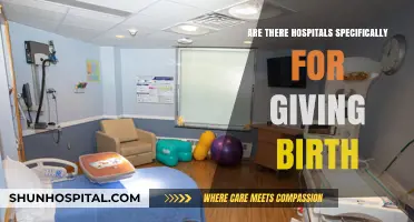 Birthing Hospitals: Specialized Care for New Life