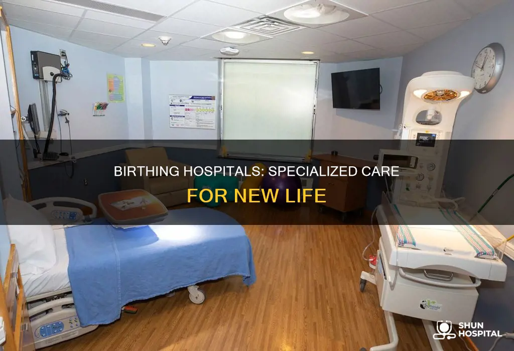 are there hospitals specifically for giving birth