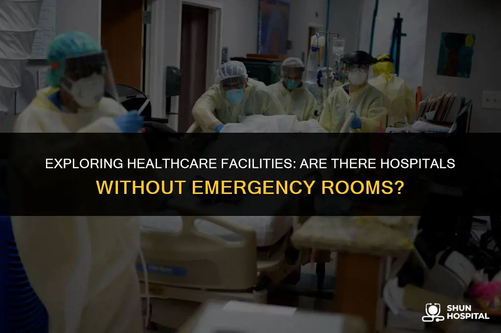 are there hospitals without emergency rooms