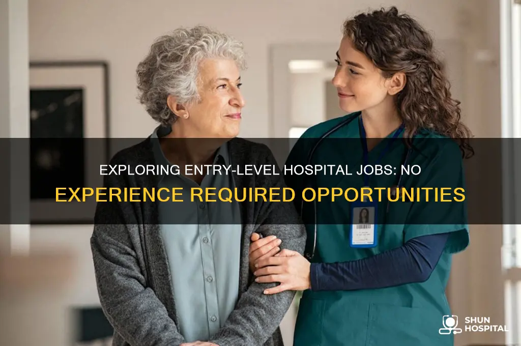 are there jobs in hospitals that don require experience