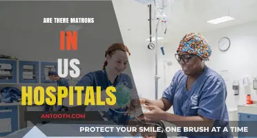 Exploring the Role of Matrons in Modern US Hospitals